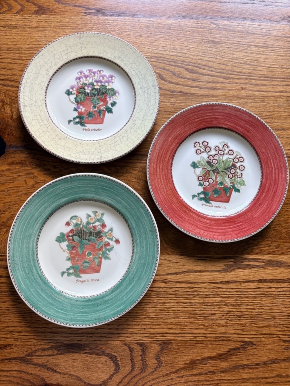 Wedgwood (3) Sarah’s Garden- 1997 Floral Accent salad Plates - Made in England - Picture 2 of 16